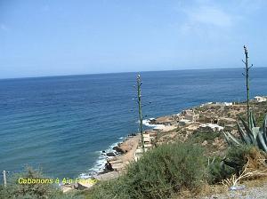 ORAN MAI 2008 3437_ain franin